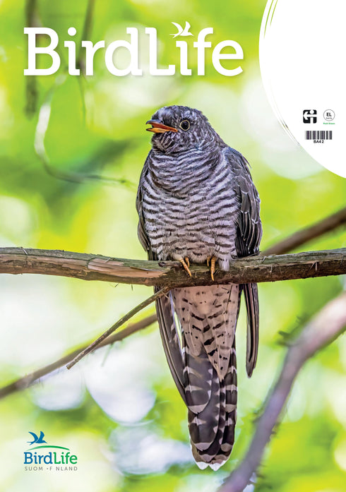 Linnut lehti - Birdlife nro: 3/2025